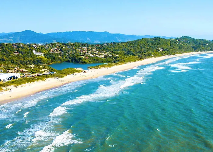 Casa Na Arvore Perto Da Praia