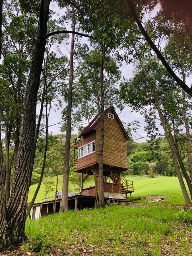 Casa Na Arvore Perto Da Chalet Imarui