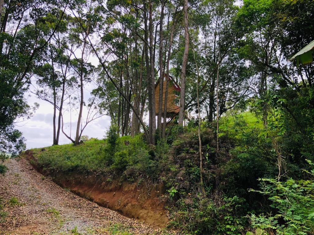 Casa Na Arvore Perto Da Imarui