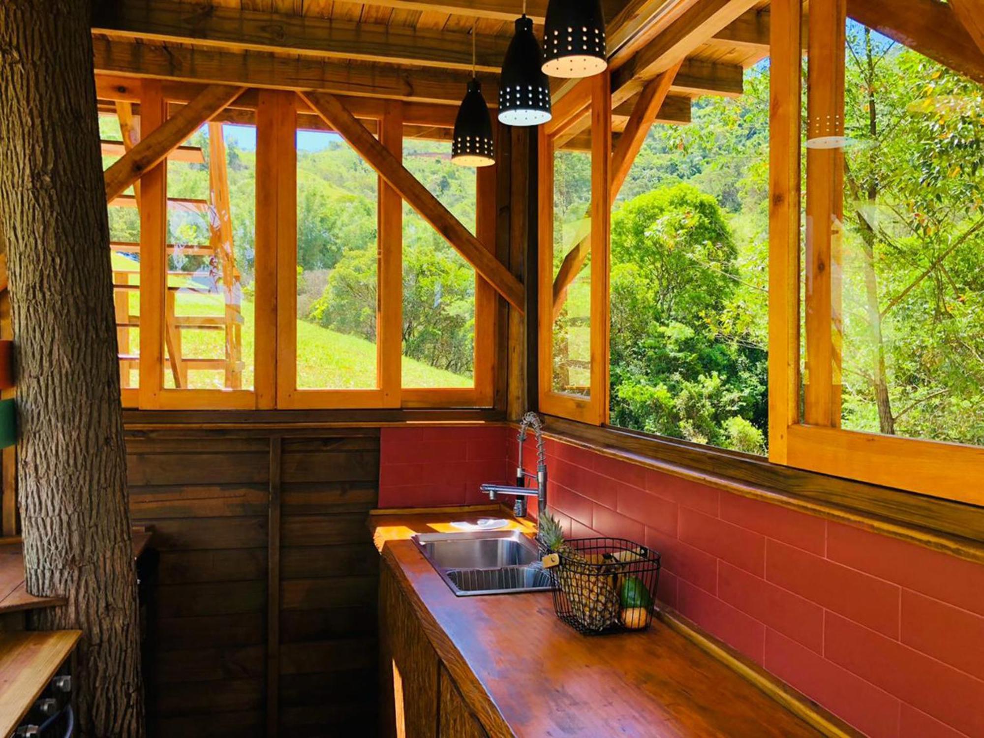 Casa Na Arvore Perto Da