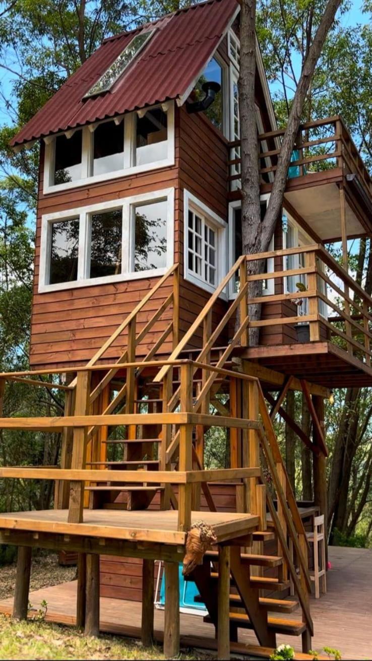 Casa Na Arvore Perto Da