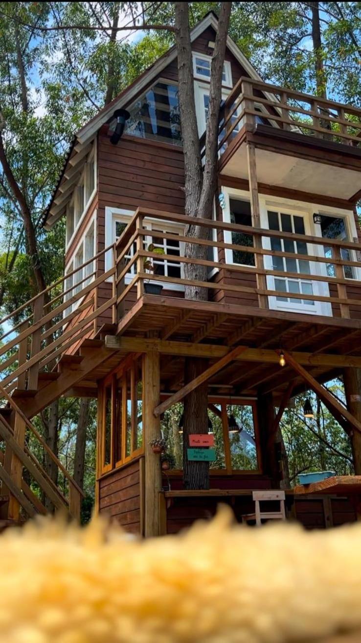 Casa Na Arvore Perto Da Chalet Imarui